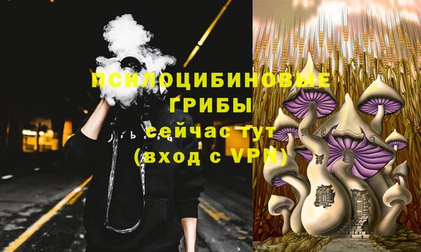 шишки Арсеньев