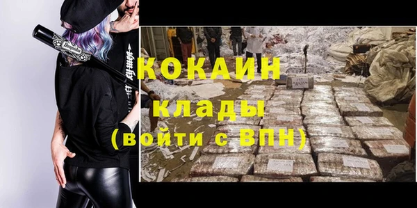 шишки Арсеньев