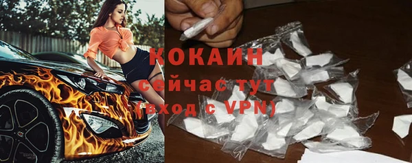 spice Новозыбков