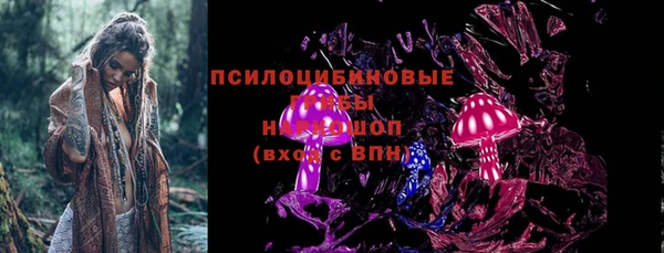 шишки Аркадак