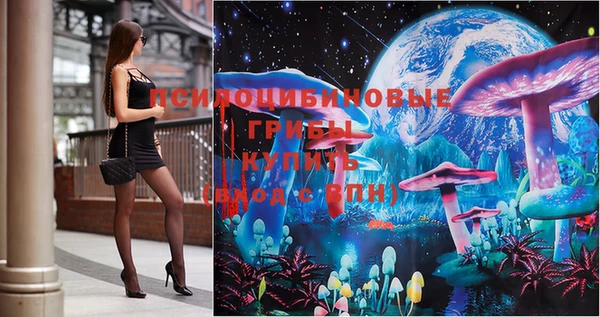 spice Новозыбков