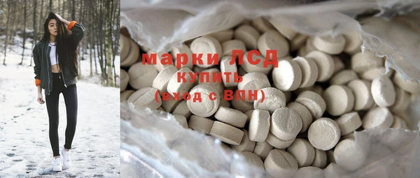 шишки Арсеньев