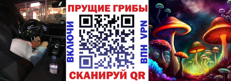 omg   купить закладку  Барыш  Галлюциногенные грибы ЛСД 